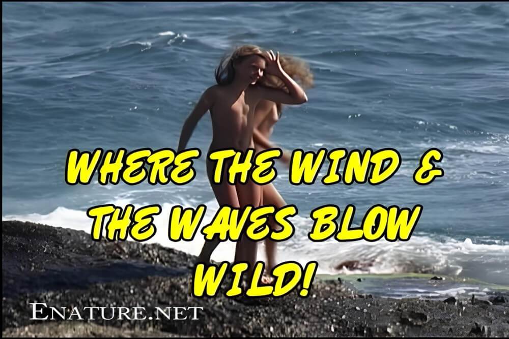 Enature - Where the Wind and the Waves Blow Wild! - Nudism strengthens friendships and mutual respect