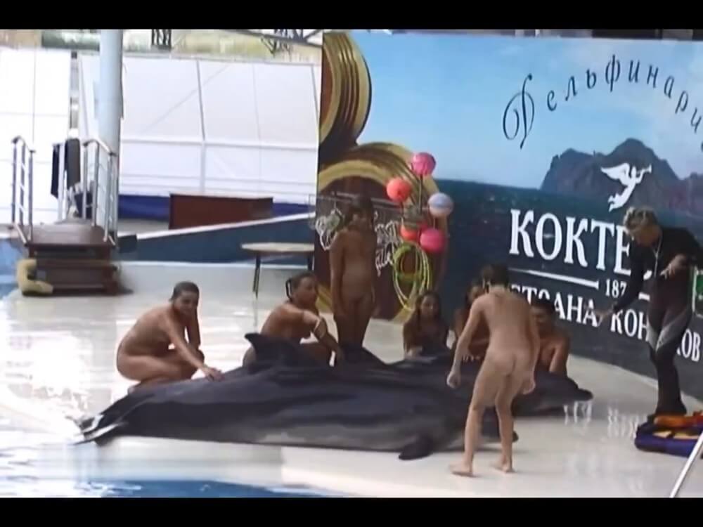 Relaxing at the dolphinarium - The lifestyle of naturist advocates and their community