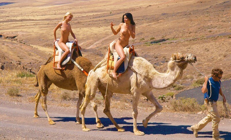 Funny Moments Life pics - Nudity in nudism is a form of honesty with oneself